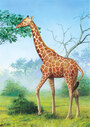 Castorland Puzzle Sestavljanke 24  " Žirafa "