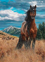 COBBLE HILL PUZZLE Sestavljanke 1000 (Art: Kim Penner)  Konji   " Svoboda "