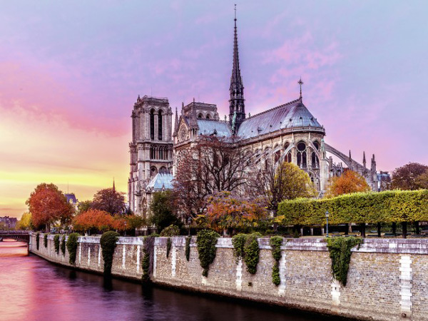 " Notre Dame, Paris "