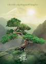 RAVENSBURGER PUZZLE  Sestavljanke 1000  Drevo Zen   " Bonsai "