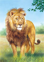 Castorland Puzzle Sestavljanke 24 " Lev "