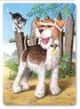 CASTORLAND PUZZLE 4 Sestavljanke v enem paketu 4 V 1 " Zverinice "