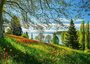SCHMIDT SPIELE PUZZLE SESTAVLJANKE 1000 " Spomladanska avenija do cvetov tulipanov, otok Mainau "