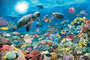 Ravensburger Puzzle Sestavljanke 5000 Ocean  " Koralni greben "