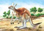 Castorland Puzzle Sestavljanke 24 " Kengeru "