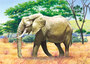 Castorland Puzzle Sestavljanke 24 " Slon "