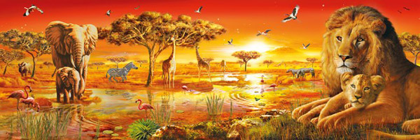 " Afriška savana " ( panorama )