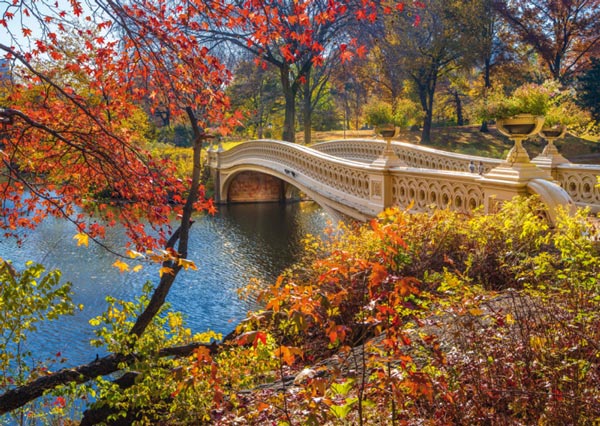 New York, ZDA " Promenada Central Park "
