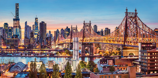 " Good Evening New York "