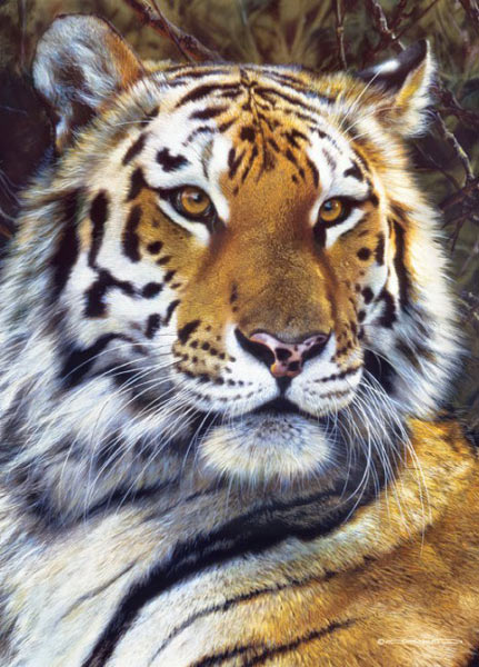 " Tiger na straži "